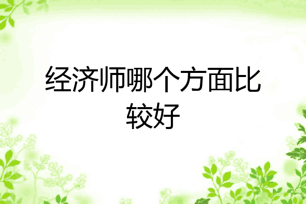 经济师哪个方面比较好