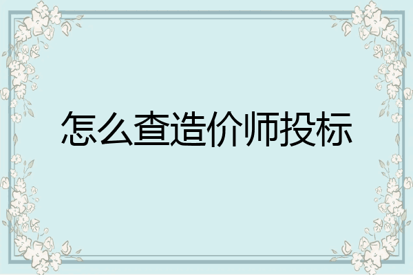 怎么查造价师投标