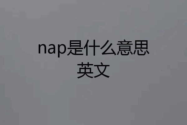 nap是什么意思英文