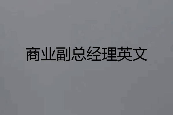 商业副总经理英文