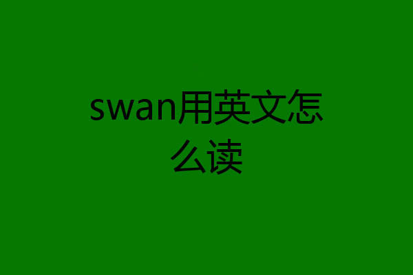 swan用英文怎么读