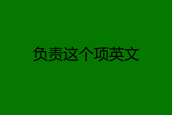 负责这个项英文