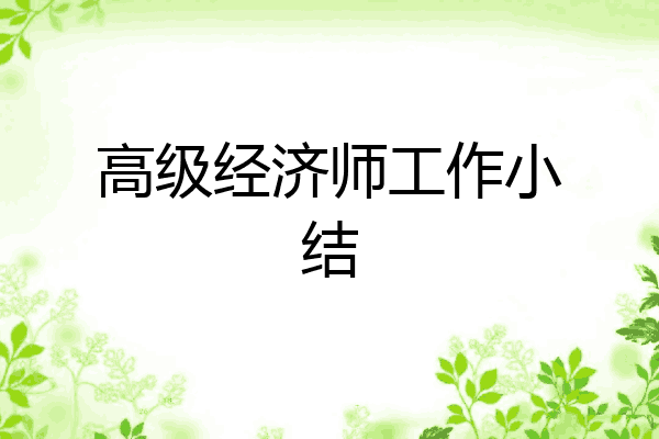 高级经济师工作小结