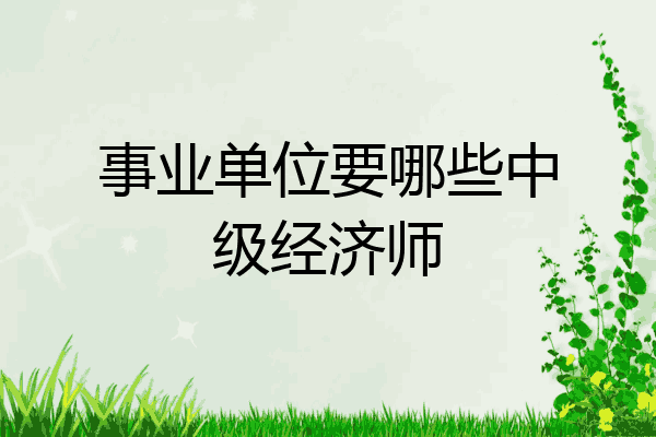 事业单位要哪些中级经济师