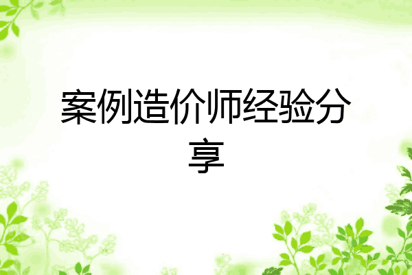 案例造价师经验分享