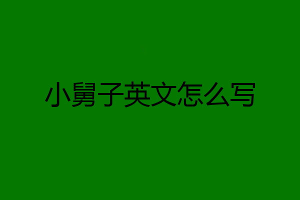 小舅子英文怎么写