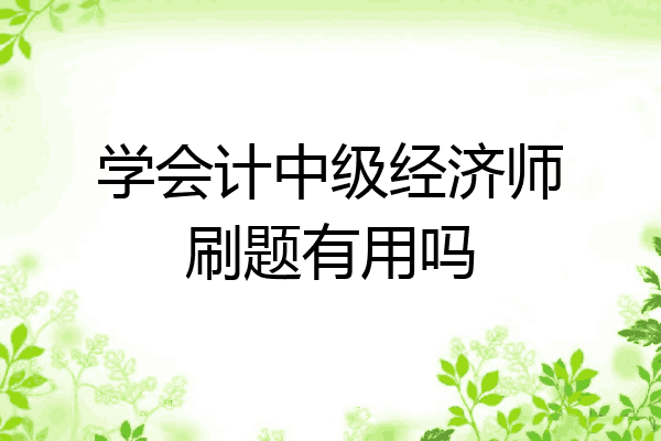 学会计中级经济师刷题有用吗