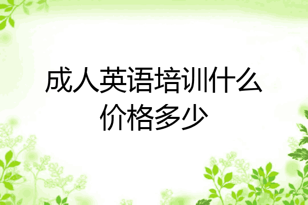 成人英语培训什么价格多少