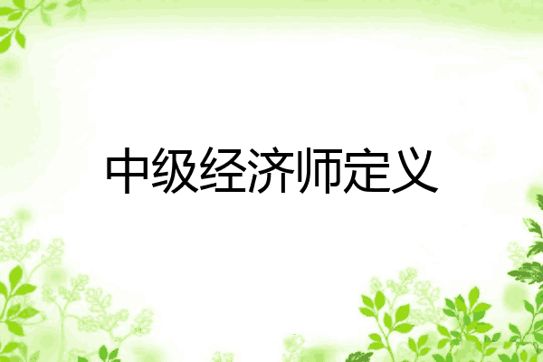中级经济师定义