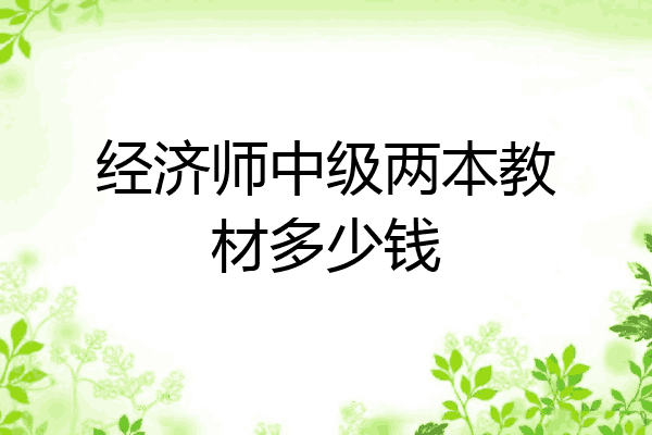 经济师中级两本教材多少钱