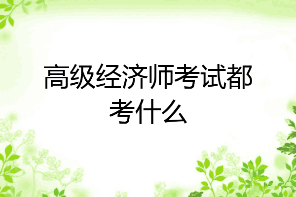 高级经济师考试都考什么