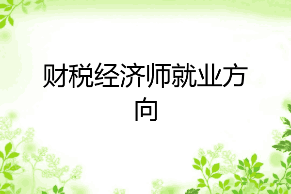 财税经济师就业方向