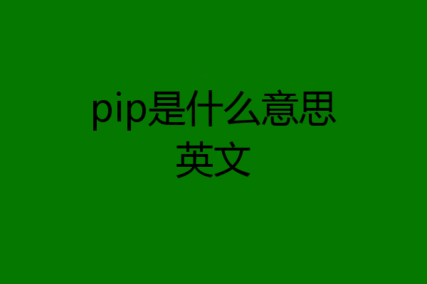 pip是什么意思英文