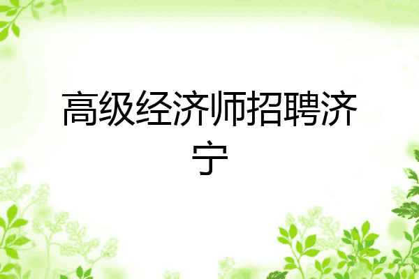 高级经济师招聘济宁