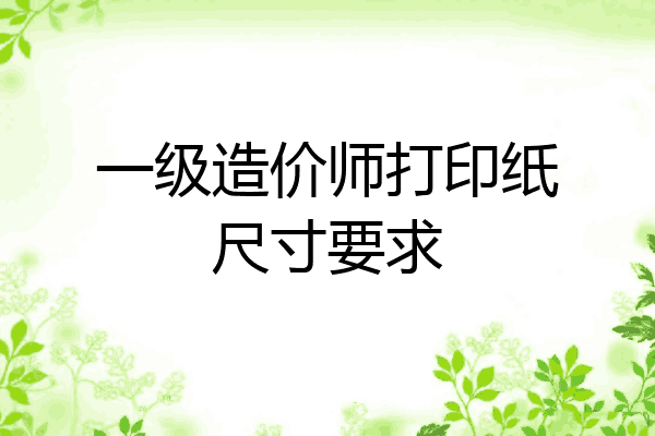 一级造价师打印纸尺寸要求