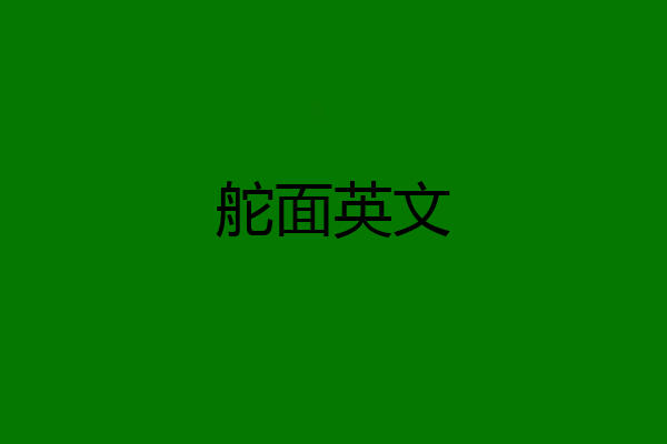 舵面英文