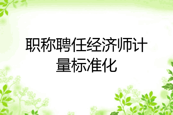 职称聘任经济师计量标准化