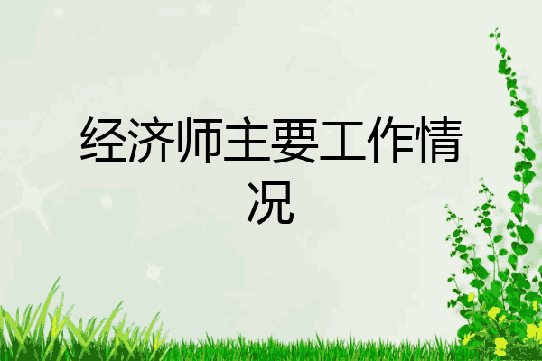 经济师主要工作情况