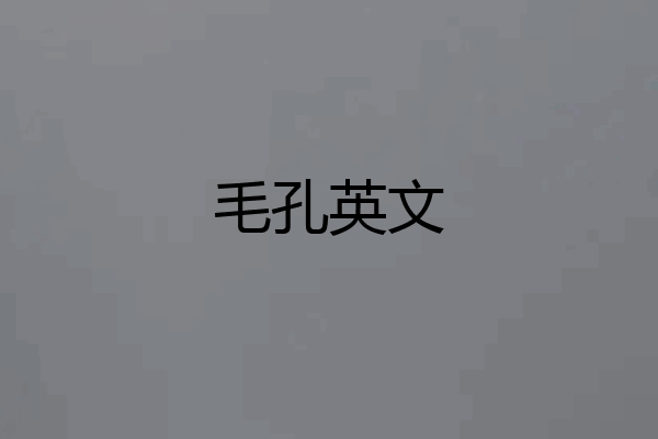 毛孔英文