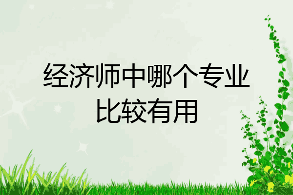 经济师中哪个专业比较有用
