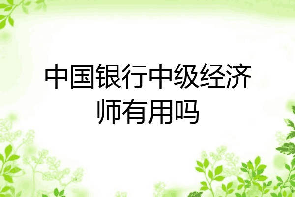 中国银行中级经济师有用吗