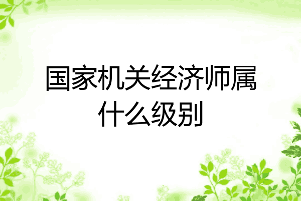 国家机关经济师属什么级别