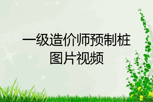 一级造价师预制桩图片视频