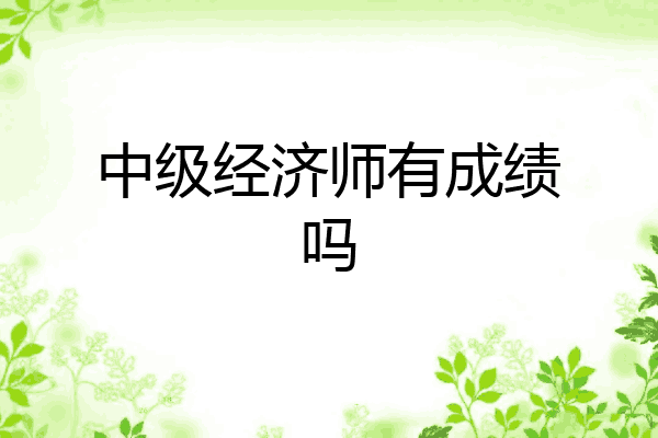 中级经济师有成绩吗