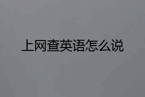 上网查英语怎么说