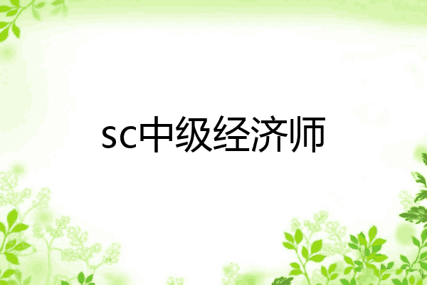 sc中级经济师