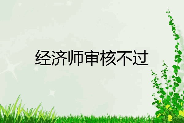 经济师审核不过