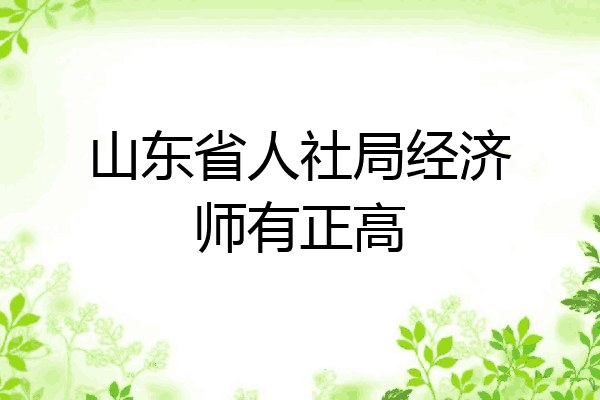 山东省人社局经济师有正高