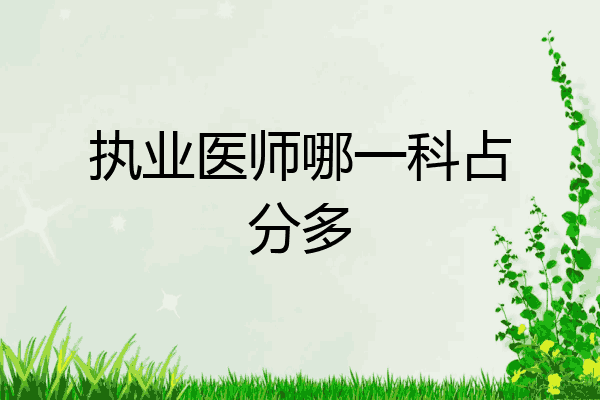 执业医师哪一科占分多