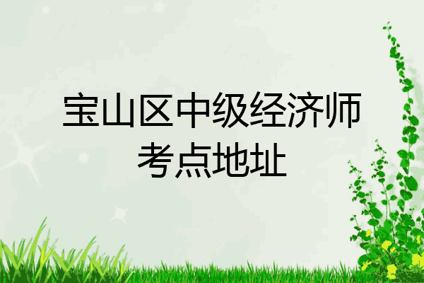 宝山区中级经济师考点地址