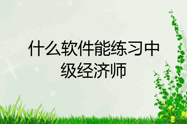 什么软件能练习中级经济师