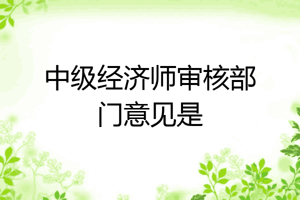 中级经济师审核部门意见是