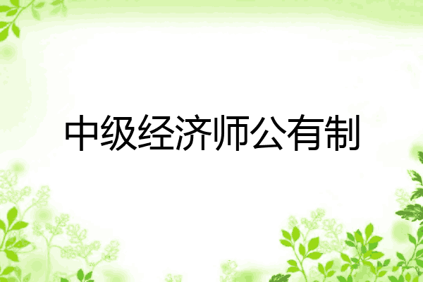 中级经济师公有制