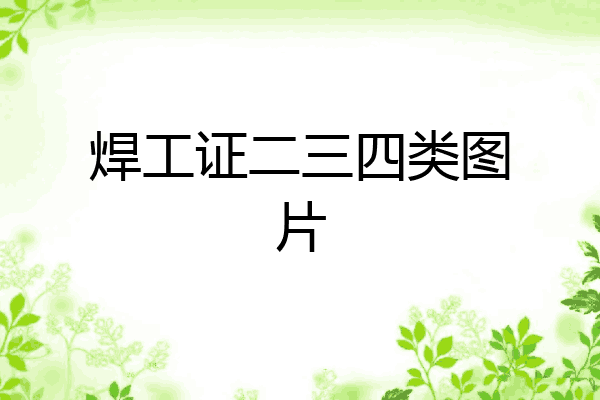 焊工证二三四类图片