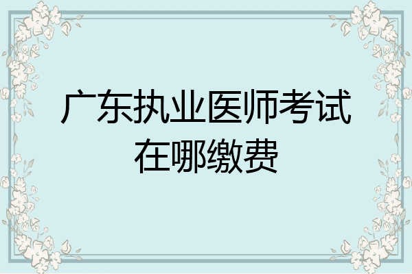 广东执业医师考试在哪缴费