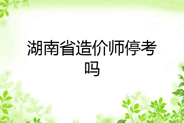 湖南省造价师停考吗
