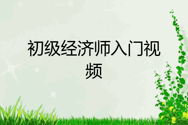 初级经济师入门视频