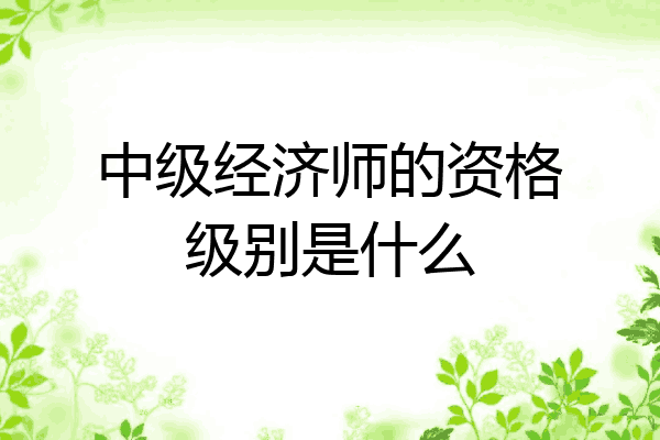中级经济师的资格级别是什么