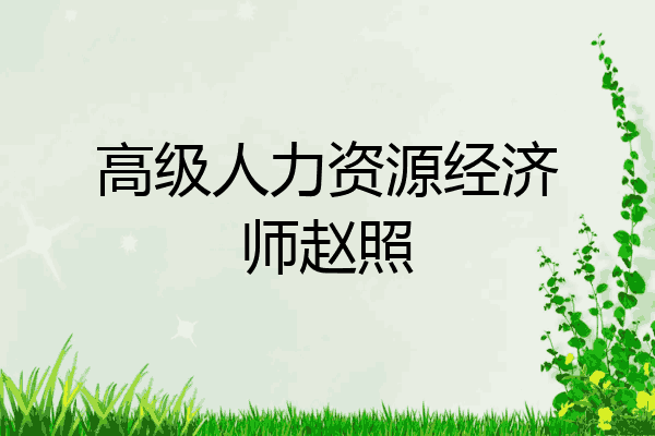 高级人力资源经济师赵照