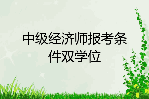 中级经济师报考条件双学位