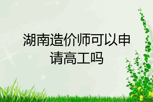 湖南造价师可以申请高工吗