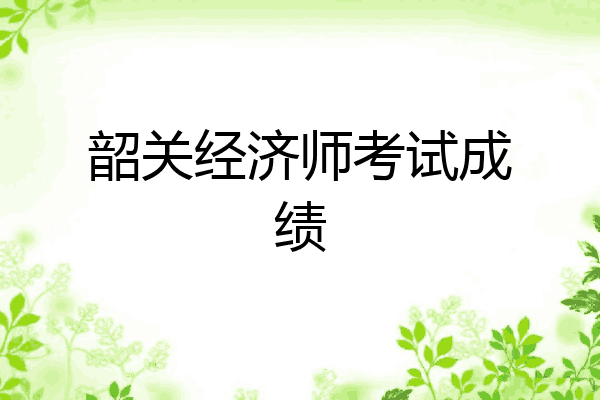 韶关经济师考试成绩