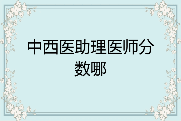 中西医助理医师分数哪