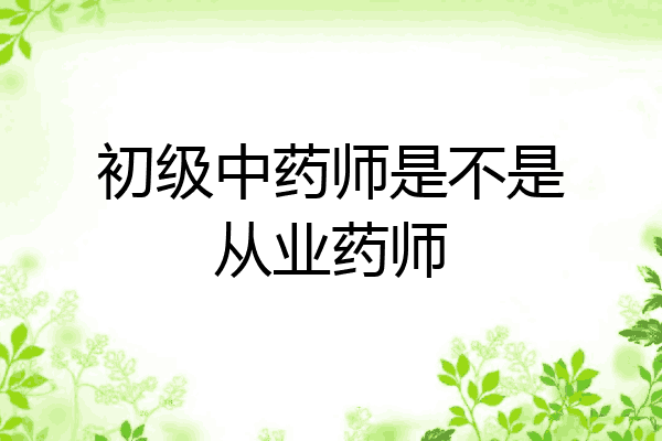 初级中药师是不是从业药师