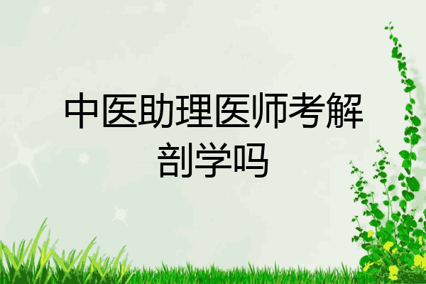 中医助理医师考解剖学吗