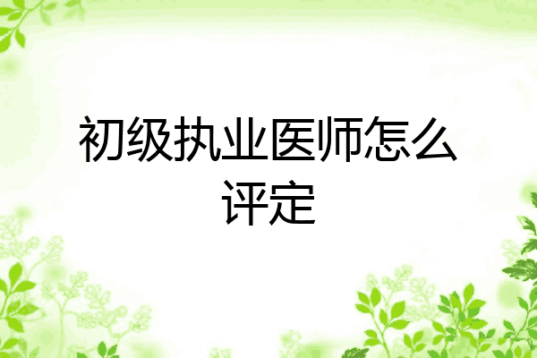 初级执业医师怎么评定